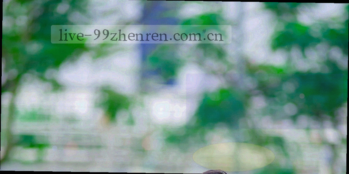 由阶段节点与版本编号组成的演进轴线示意